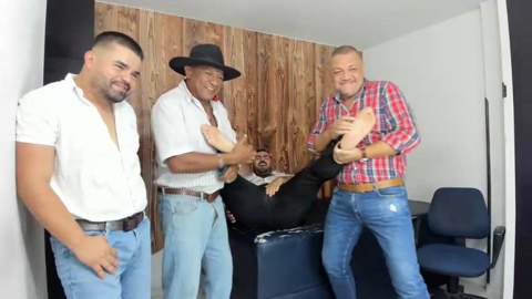 sex_group  11-10-2022